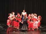 flamenco3